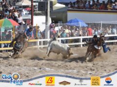 Festa do Boi Malandro